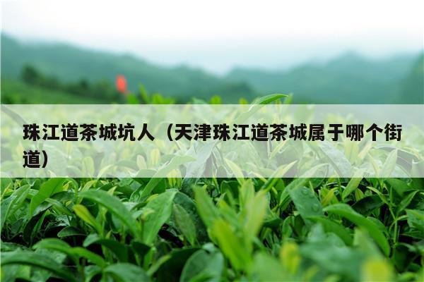 珠江道茶城坑人（天津珠江道茶城属于哪个街道）