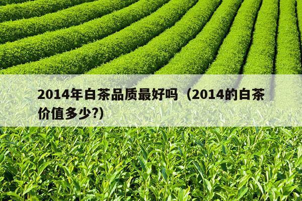 2014年白茶品质最好吗（2014的白茶价值多少?）