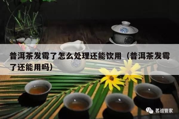 普洱茶发霉了怎么处理还能饮用（普洱茶发霉了还能用吗）