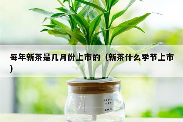 每年新茶是几月份上市的（新茶什么季节上市）