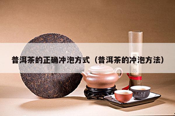 普洱茶的正确冲泡方式（普洱茶的冲泡方法）