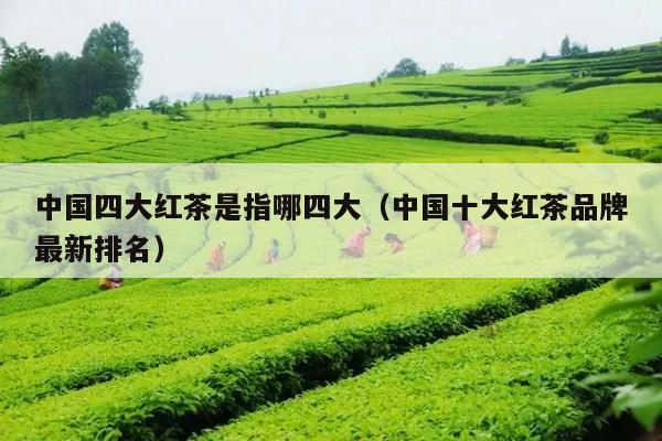 中国四大红茶是指哪四大（中国十大红茶品牌最新排名）