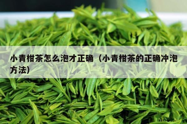 小青柑茶怎么泡才正确（小青柑茶的正确冲泡方法）