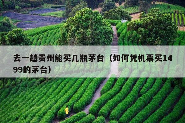 去一趟贵州能买几瓶茅台（如何凭机票买1499的茅台）