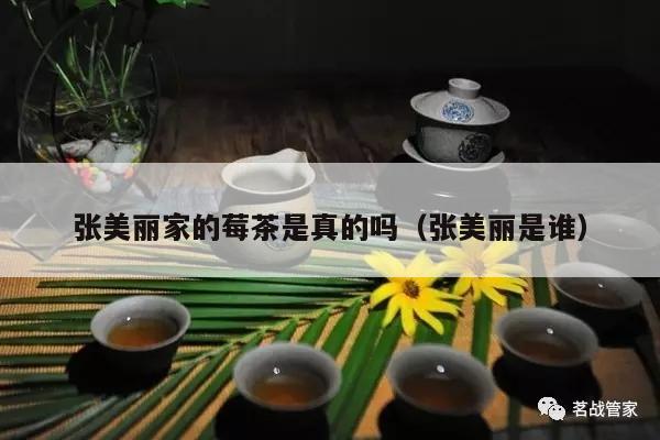 张美丽家的莓茶是真的吗（张美丽是谁）