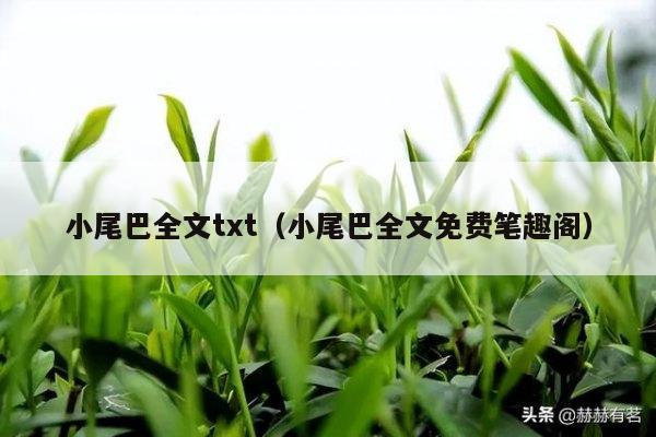 小尾巴全文txt（小尾巴全文免费笔趣阁）