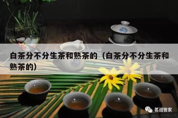 白茶分不分生茶和熟茶的（白茶分不分生茶和熟茶的）