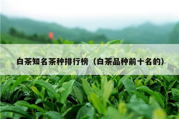 白茶知名茶种排行榜（白茶品种前十名的）