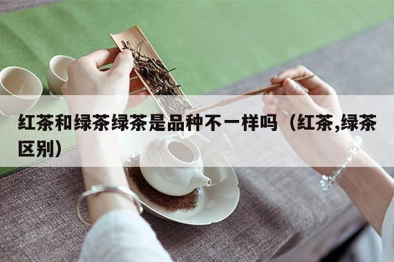 红茶和绿茶绿茶是品种不一样吗（红茶,绿茶区别）