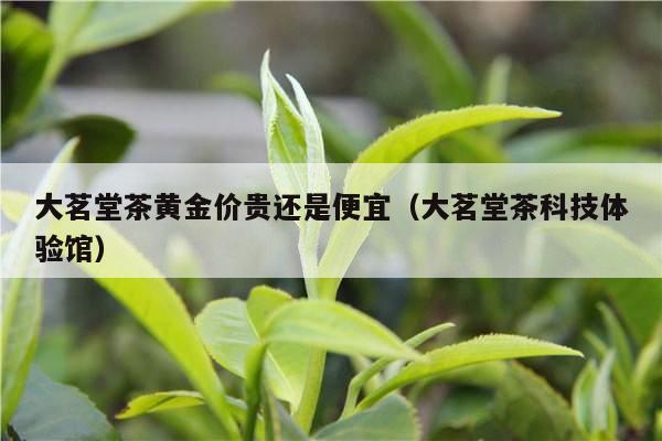 大茗堂茶黄金价贵还是便宜（大茗堂茶科技体验馆）