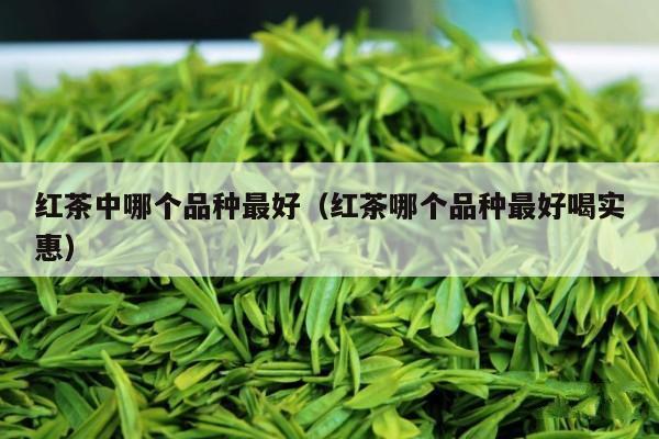 红茶中哪个品种最好（红茶哪个品种最好喝实惠）