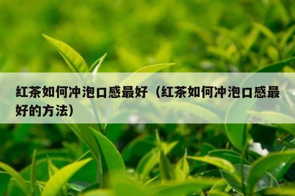 红茶如何冲泡口感最好（红茶如何冲泡口感最好的方法）