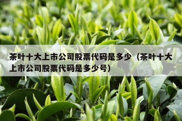 茶叶十大上市公司股票代码是多少（茶叶十大上市公司股票代码是多少号）