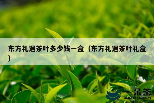 东方礼遇茶叶多少钱一盒（东方礼遇茶叶礼盒）