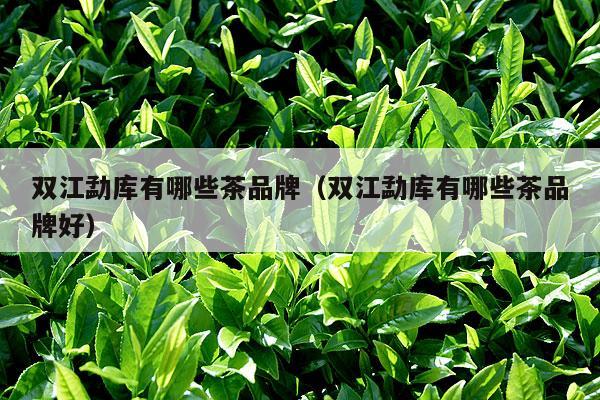 双江勐库有哪些茶品牌（双江勐库有哪些茶品牌好）