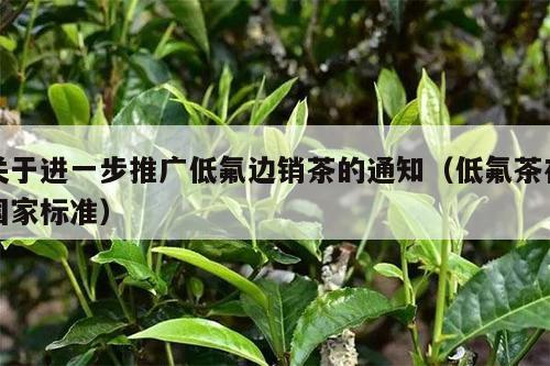 关于进一步推广低氟边销茶的通知（低氟茶在国家标准）