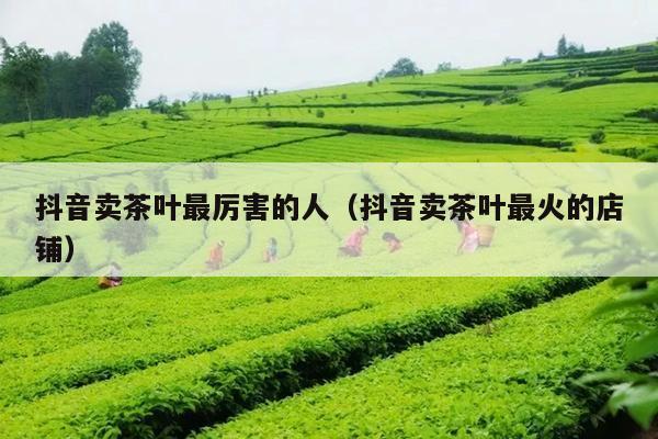 抖音卖茶叶最厉害的人（抖音卖茶叶最火的店铺）