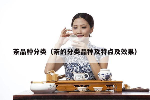 茶品种分类（茶的分类品种及特点及效果）