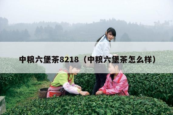 中粮六堡茶8218（中粮六堡茶怎么样）