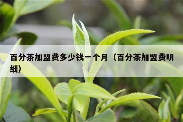 百分茶加盟费多少钱一个月（百分茶加盟费明细）