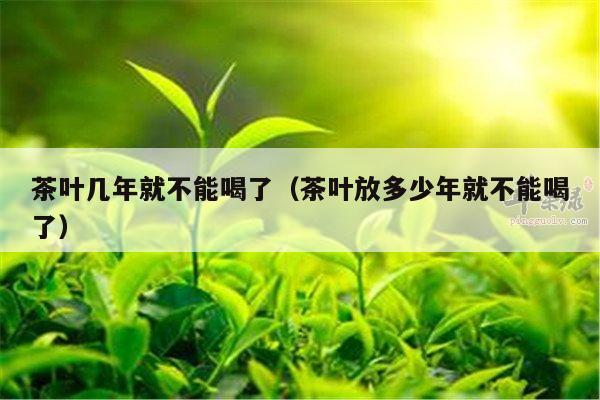 茶叶几年就不能喝了（茶叶放多少年就不能喝了）