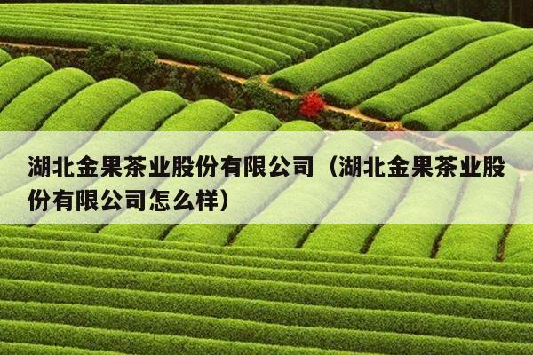 湖北金果茶业股份有限公司（湖北金果茶业股份有限公司怎么样）