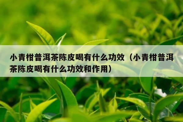 小青柑普洱茶陈皮喝有什么功效（小青柑普洱茶陈皮喝有什么功效和作用）