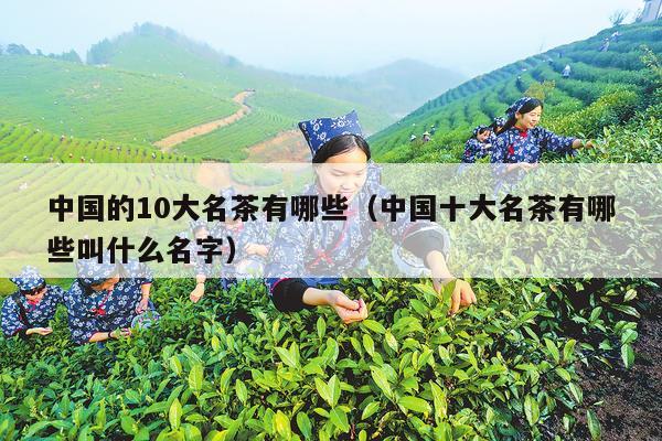 中国的10大名茶有哪些（中国十大名茶有哪些叫什么名字）