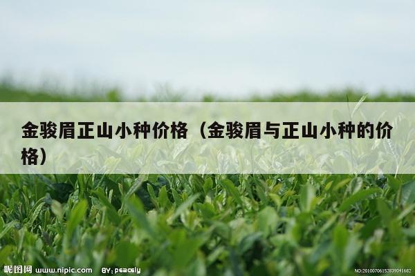 金骏眉正山小种价格（金骏眉与正山小种的价格）