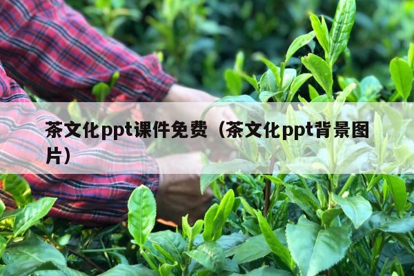 茶文化ppt课件免费（茶文化ppt背景图片）