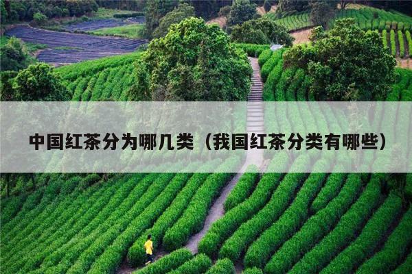 中国红茶分为哪几类（我国红茶分类有哪些）