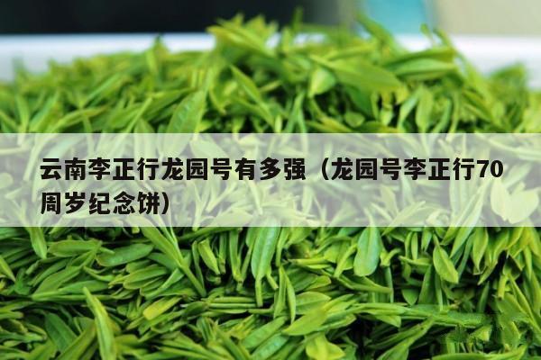 云南李正行龙园号有多强（龙园号李正行70周岁纪念饼）