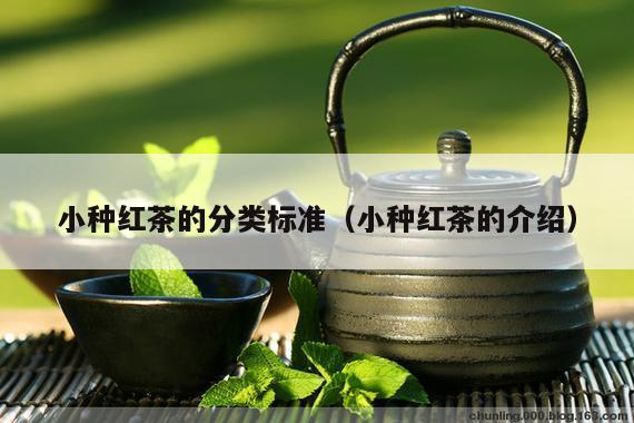 小种红茶的分类标准（小种红茶的介绍）