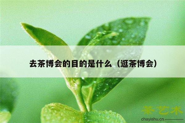 去茶博会的目的是什么（逛茶博会）