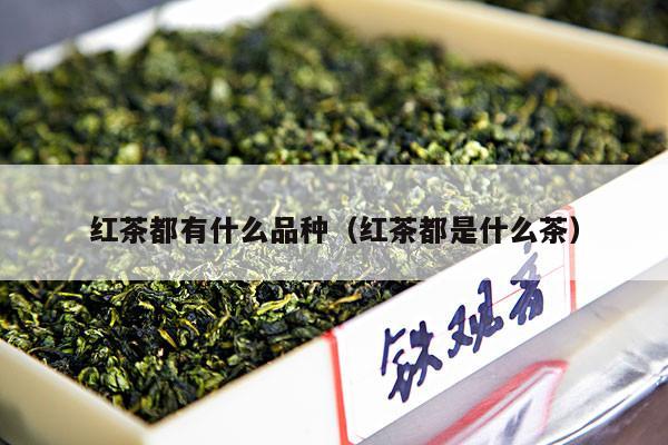 红茶都有什么品种（红茶都是什么茶）