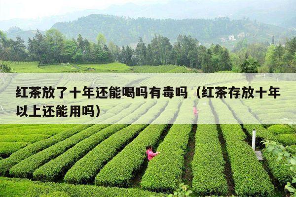 红茶放了十年还能喝吗有毒吗（红茶存放十年以上还能用吗）