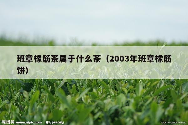 班章橡筋茶属于什么茶（2003年班章橡筋饼）