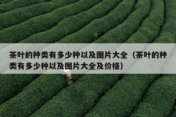 茶叶的种类有多少种以及图片大全（茶叶的种类有多少种以及图片大全及价格）