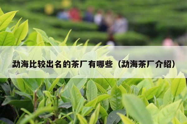 勐海比较出名的茶厂有哪些（勐海茶厂介绍）