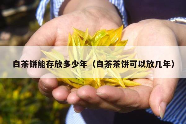 白茶饼能存放多少年（白茶茶饼可以放几年）