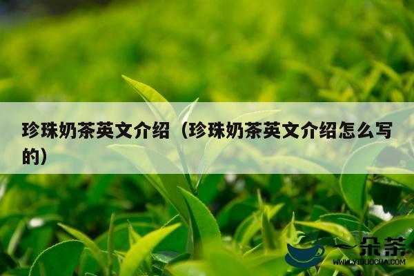 珍珠奶茶英文介绍（珍珠奶茶英文介绍怎么写的）