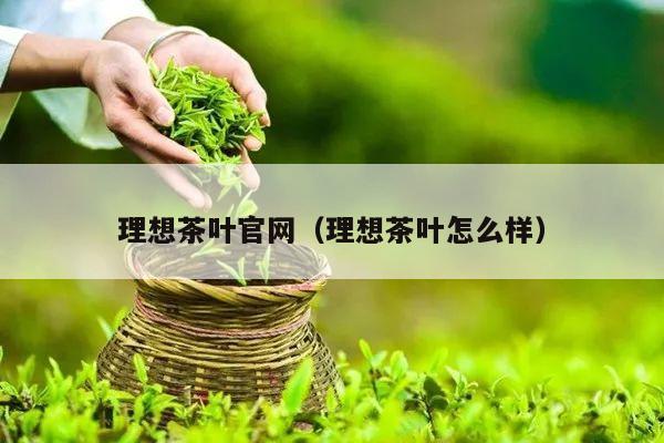 理想茶叶官网（理想茶叶怎么样）