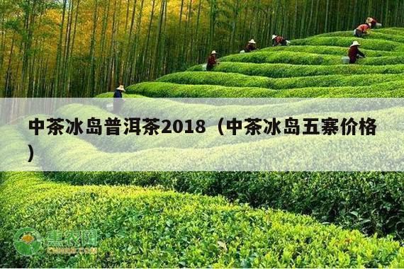 中茶冰岛普洱茶2018（中茶冰岛五寨价格）