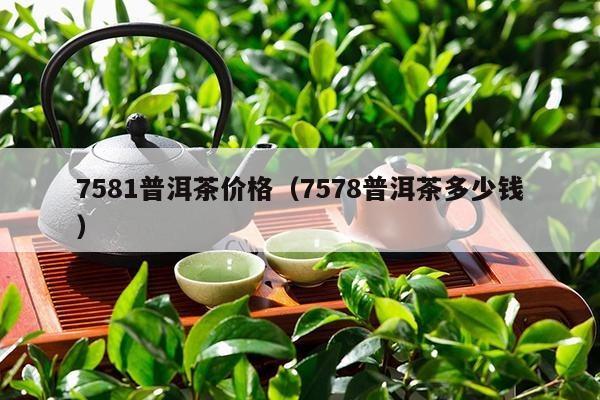 7581普洱茶价格（7578普洱茶多少钱）