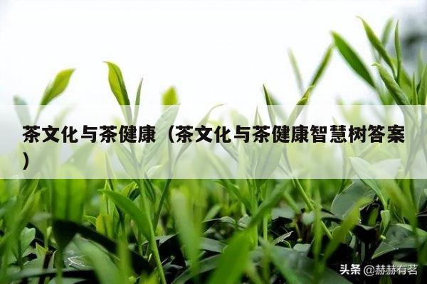 茶文化与茶健康（茶文化与茶健康智慧树答案）