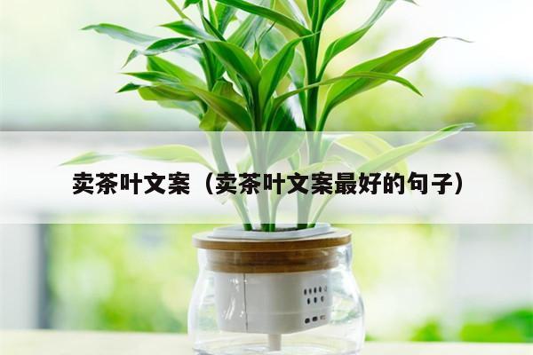 卖茶叶文案（卖茶叶文案最好的句子）