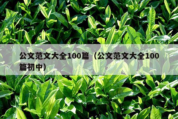 公文范文大全100篇（公文范文大全100篇初中）