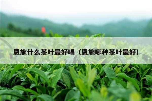 恩施什么茶叶最好喝（恩施哪种茶叶最好）