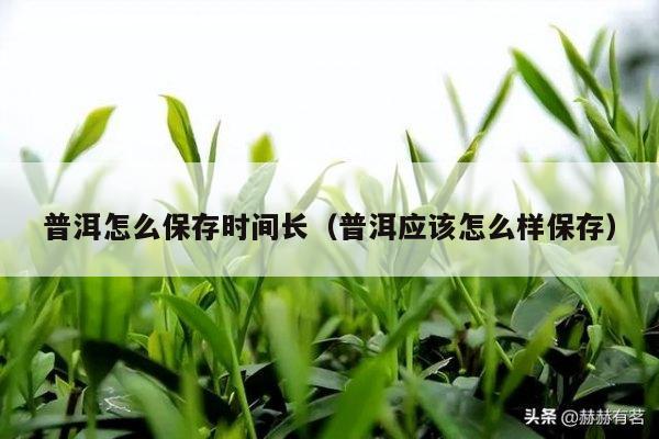 普洱怎么保存时间长（普洱应该怎么样保存）