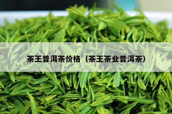 茶王普洱茶价格（茶王茶业普洱茶）